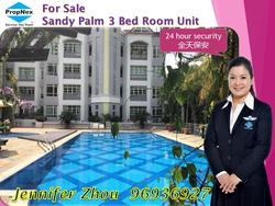 Sandy Palm (D17), Condominium #135882462